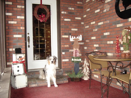This is the foyer into out home. You would be greeted by this sight and actually Baylor our dog would be on the other side of the door waiting to give you a warm wiggle butt welcome.